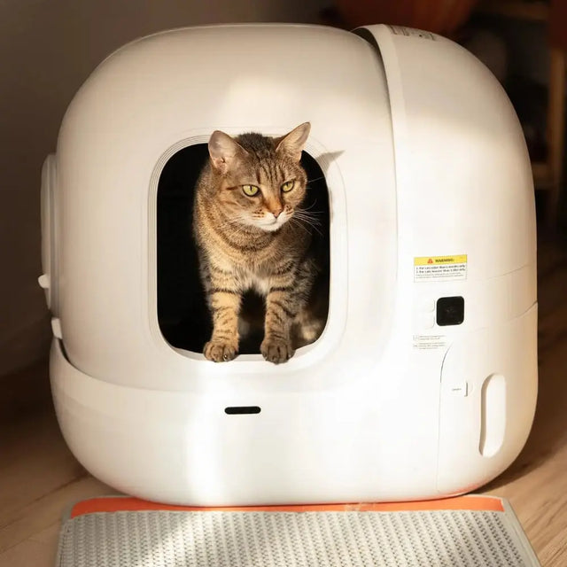 cat in puramax2 automatische kattenbak