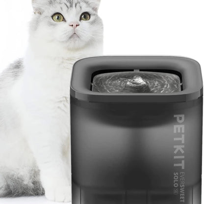 kat naast een grijze petkit eversweet solo se 