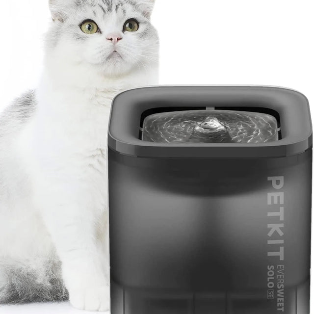 kat naast een grijze petkit eversweet solo se 