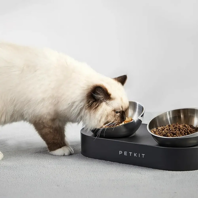 kat eet uit petkit voerbak nano 