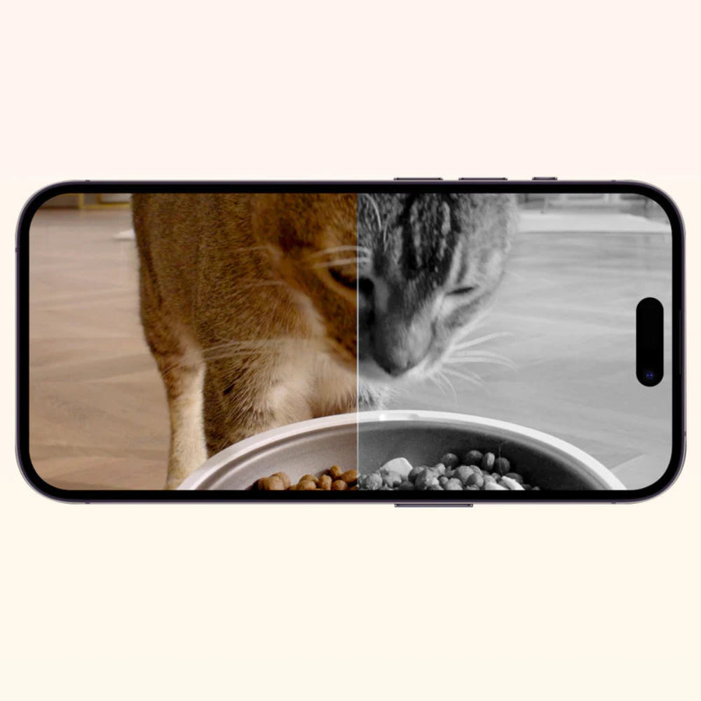 de petkit yumshare voor katten is een voerautomaat met camera, die ook in het donker laat zien wat je kat doet