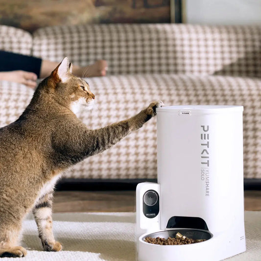 PETKIT Katten Automatische Voerbak Yumshare Solo Met Camera Wit Mijn winkel